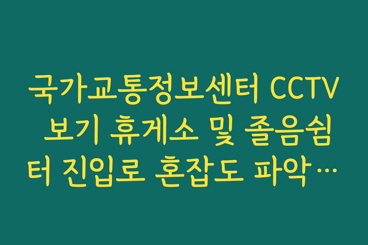 국가교통정보센터 CCTV 보기 휴게소 및 졸음쉼터 진입로 혼잡도 파악 방법