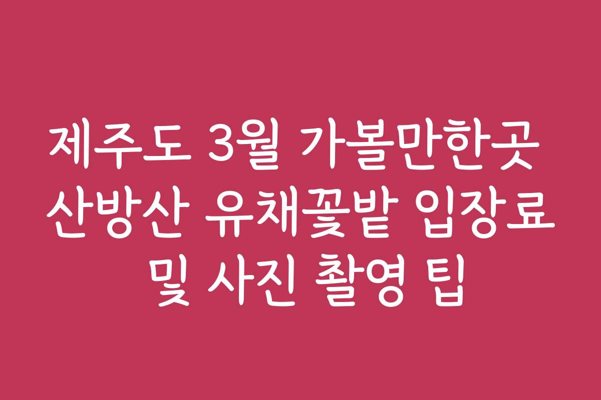 제주도 3월 가볼만한곳 산방산 유채꽃밭 입장료 및 사진 촬영 팁
