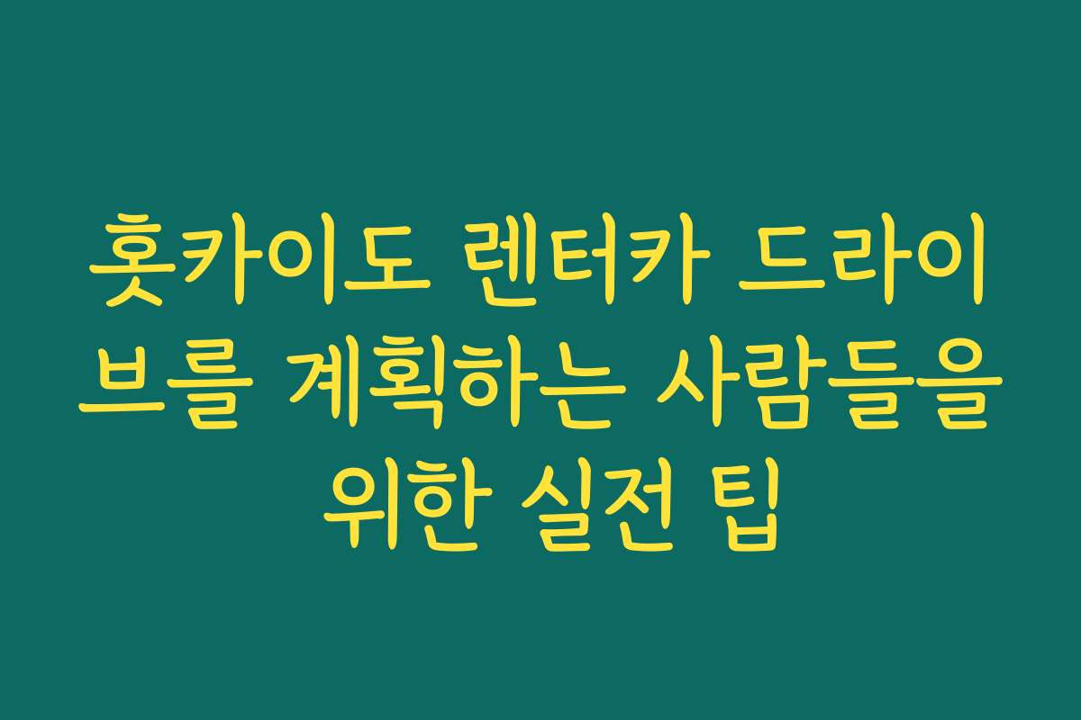 홋카이도 렌터카 드라이브를 계획하는 사람들을 위한 실전 팁