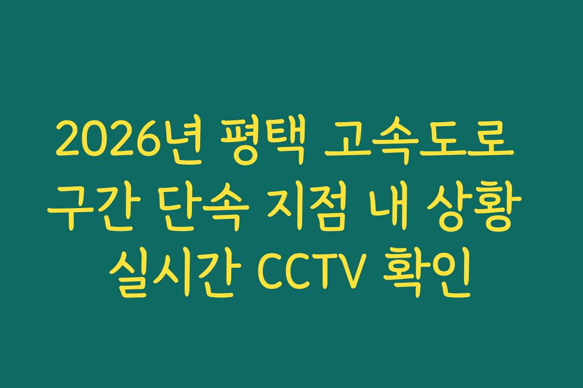 2026년 평택 고속도로 구간 단속 지점 내 상황 실시간 CCTV 확인