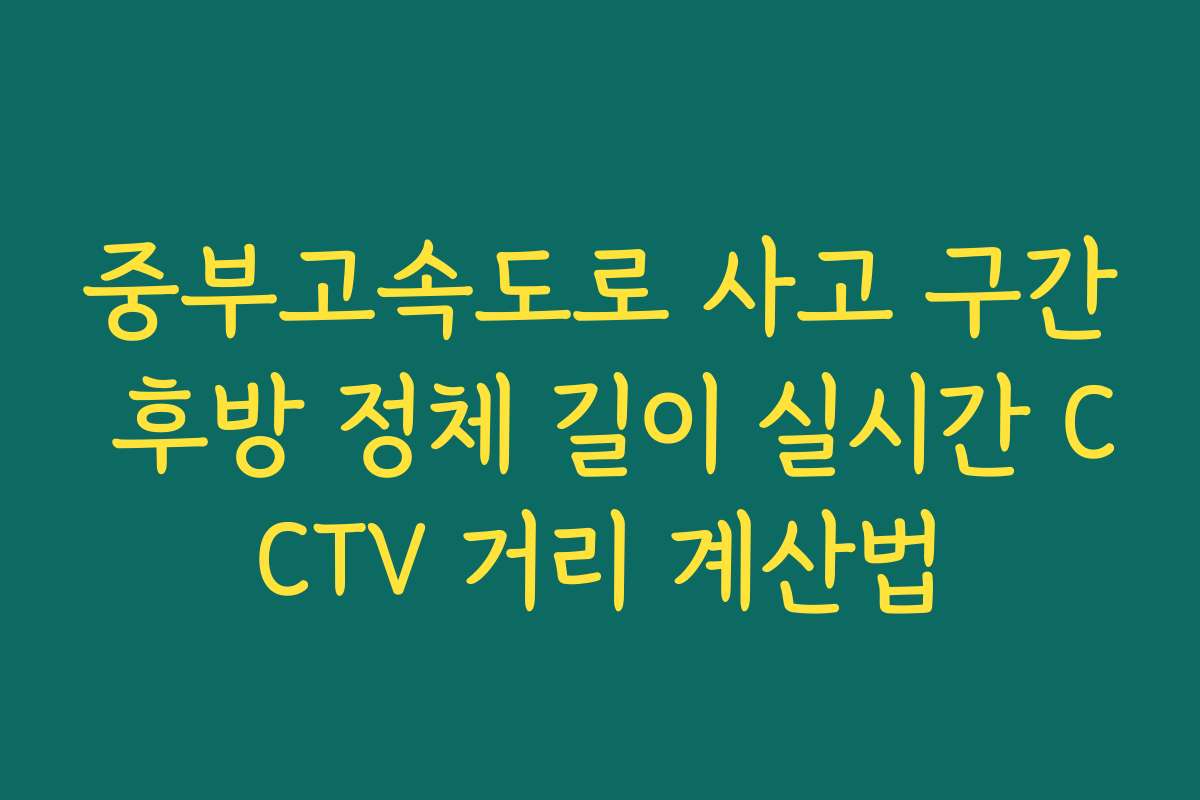 중부고속도로 사고 구간 후방 정체 길이 실시간 CCTV 거리 계산법