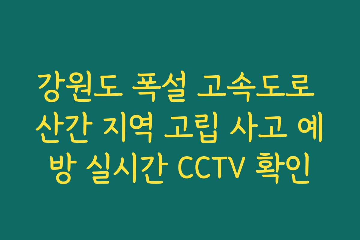강원도 폭설 고속도로 산간 지역 고립 사고 예방 실시간 CCTV 확인