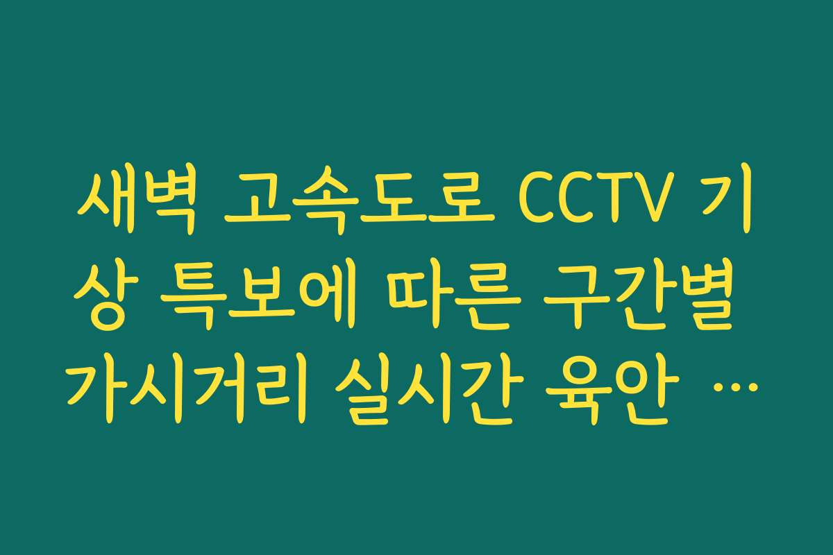 새벽 고속도로 CCTV 기상 특보에 따른 구간별 가시거리 실시간 육안 체크