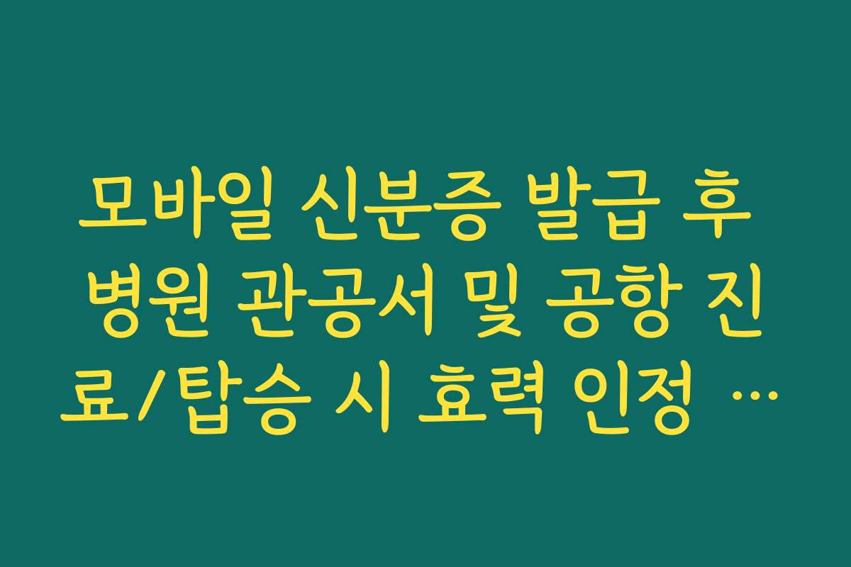 모바일 신분증 발급 후 병원 관공서 및 공항 진료/탑승 시 효력 인정 범위
