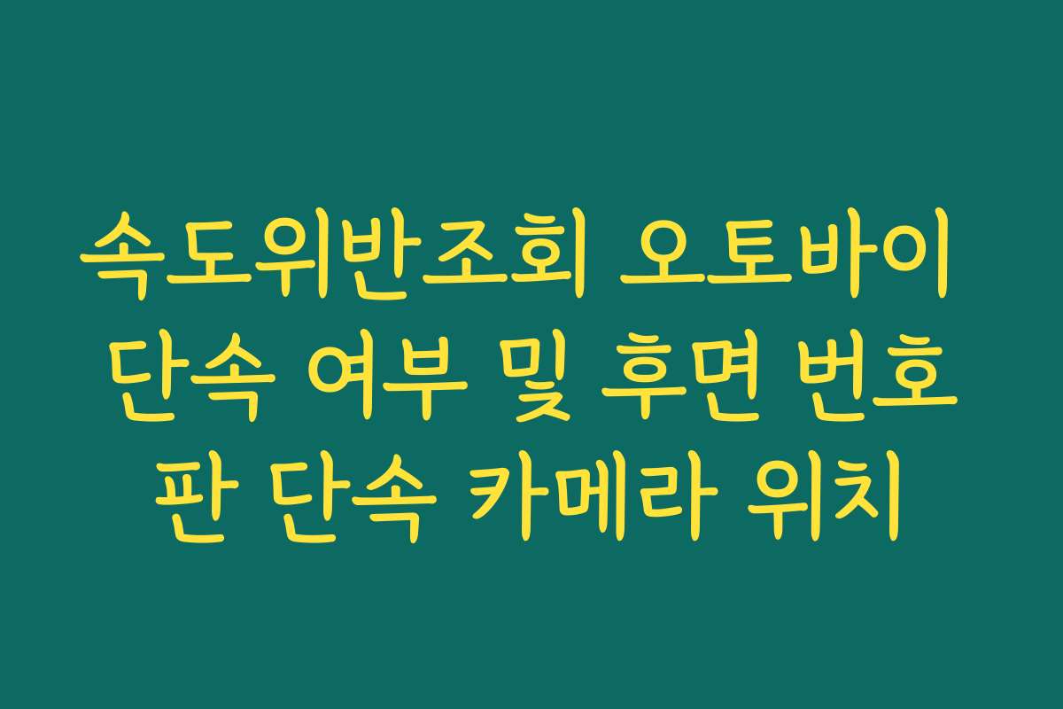 속도위반조회 오토바이 단속 여부 및 후면 번호판 단속 카메라 위치