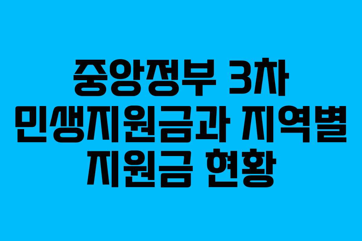 중앙정부 3차 민생지원금과 지역별 지원금 현황