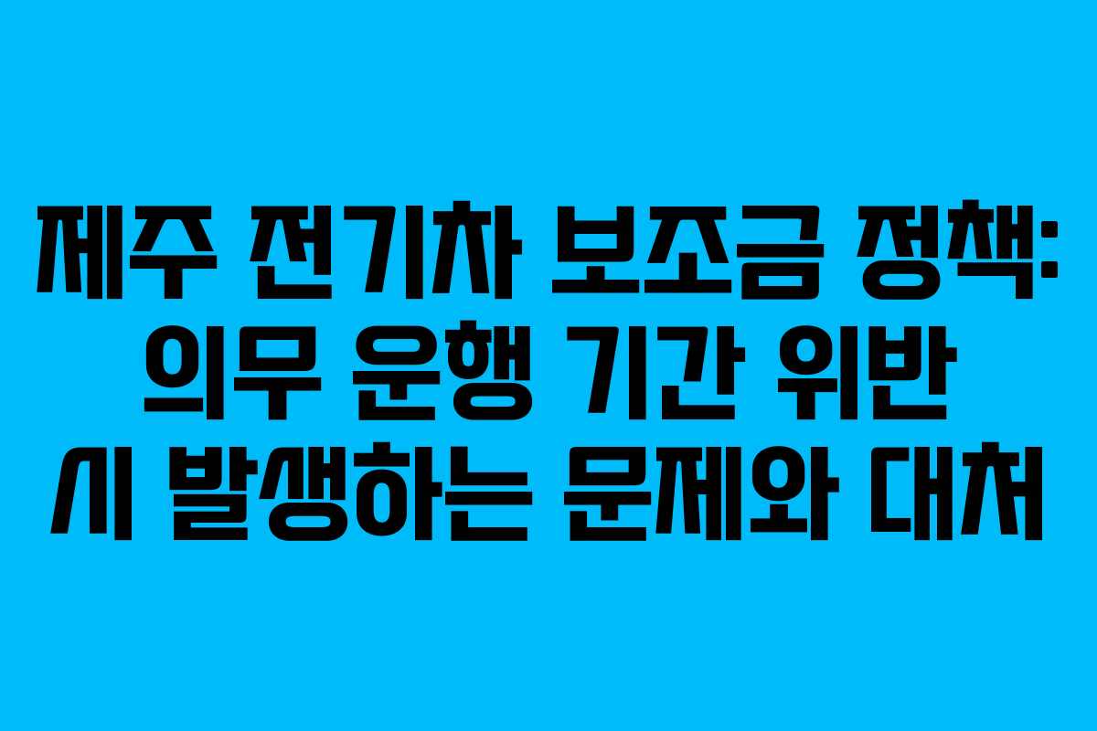 제주 전기차 보조금 정책: 의무 운행 기간 위반 시 발생하는 문제와 대처