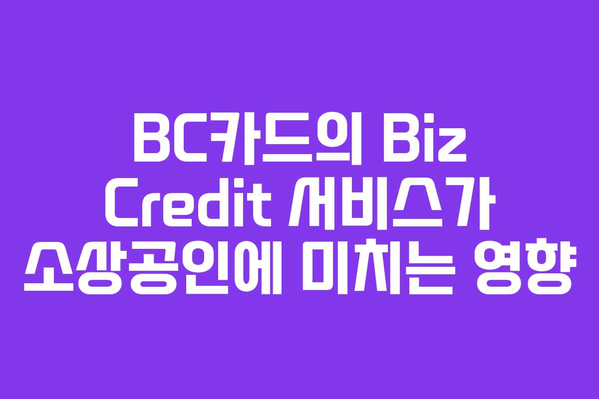 BC카드의 Biz Credit 서비스가 소상공인에 미치는 영향