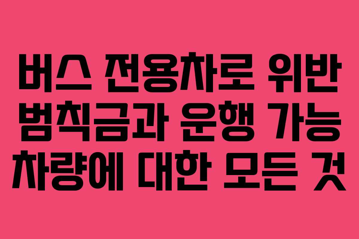 버스 전용차로 위반 범칙금과 운행 가능 차량에 대한 모든 것