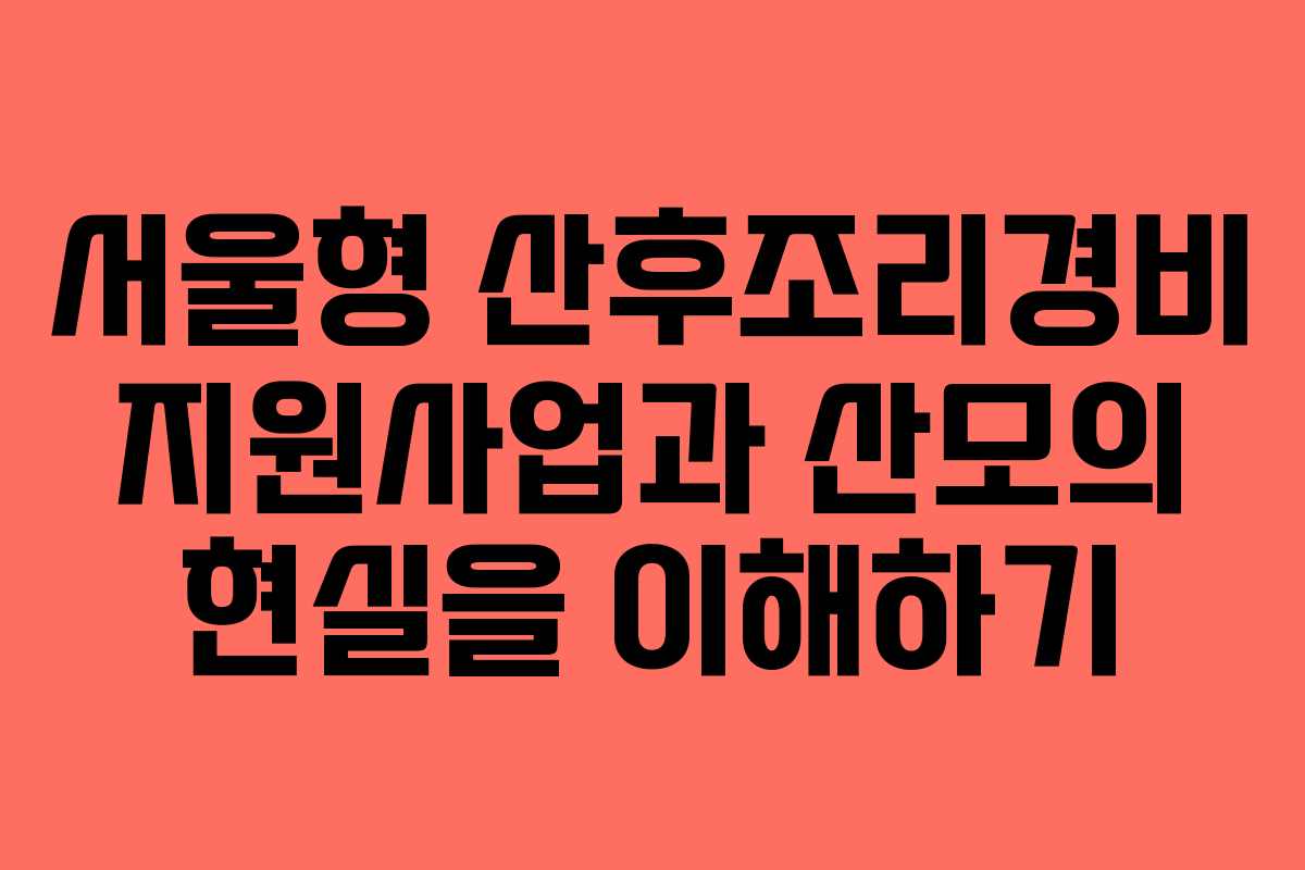 서울형 산후조리경비 지원사업과 산모의 현실을 이해하기
