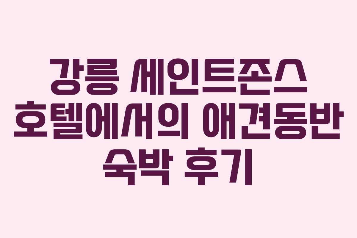 강릉 세인트존스 호텔에서의 애견동반 숙박 후기