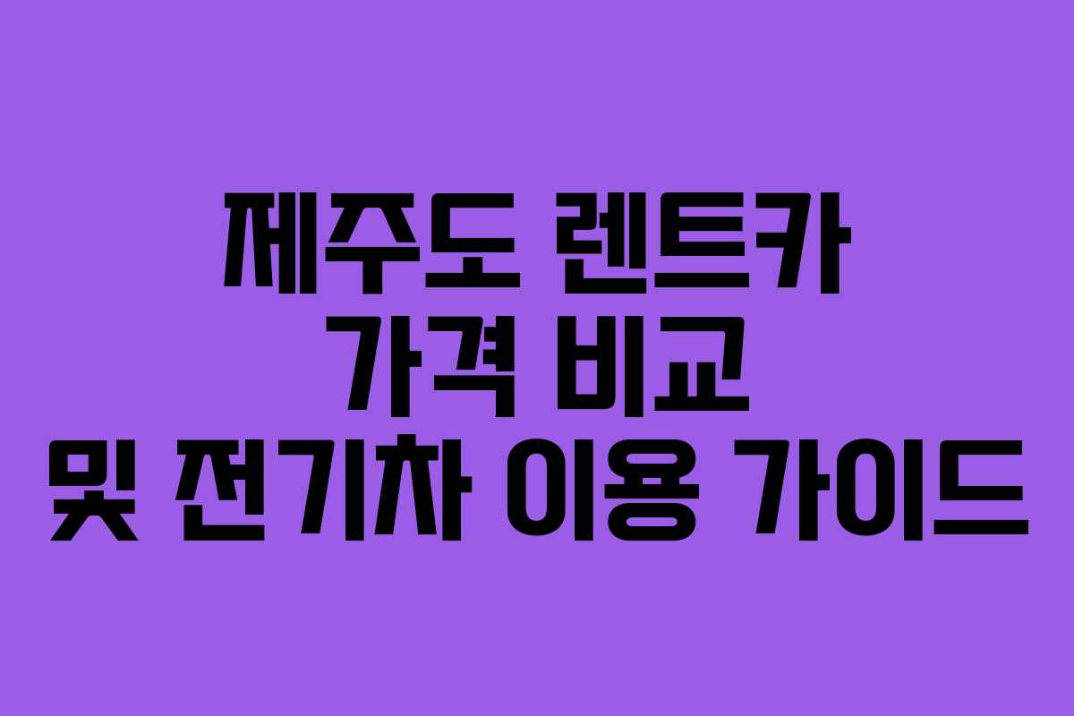 제주도 렌트카 가격 비교 및 전기차 이용 가이드