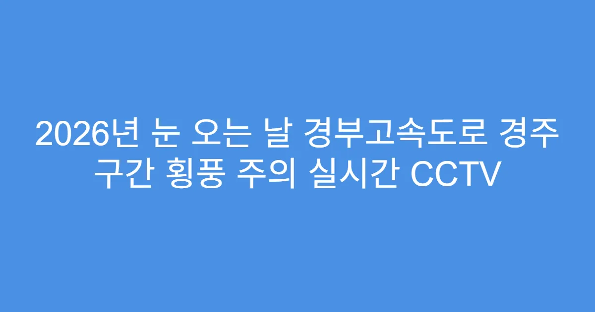 2026년 눈 오는 날 경부고속도로 경주 구간 횡풍 주의 실시간 CCTV