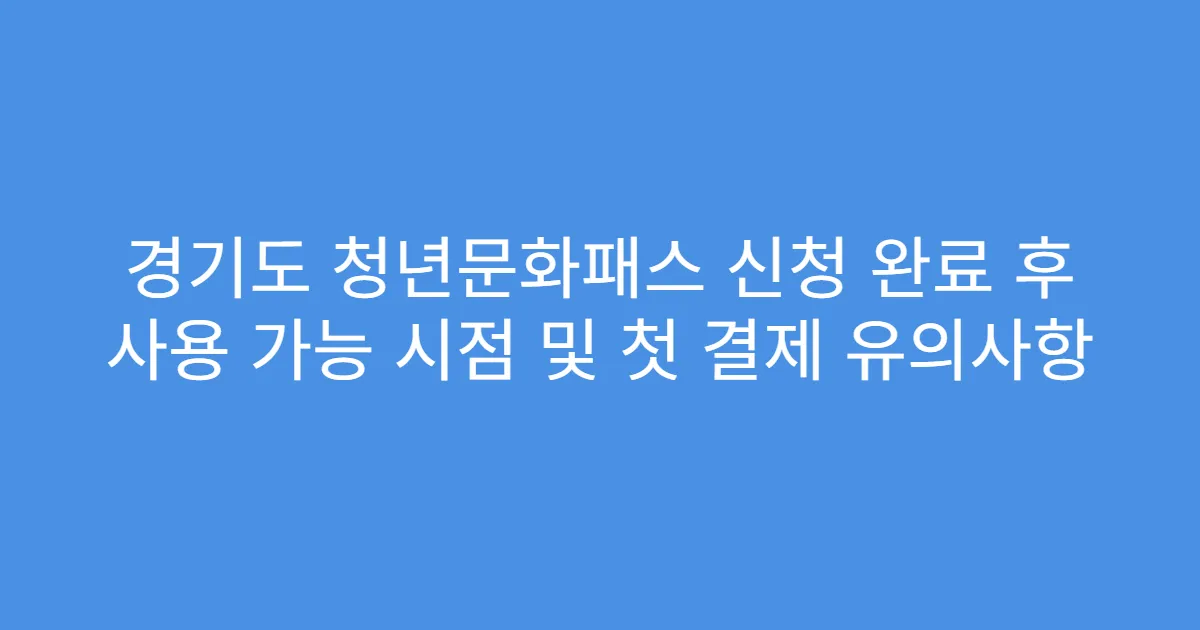 경기도 청년문화패스 신청 완료 후 사용 가능 시점 및 첫 결제 유의사항