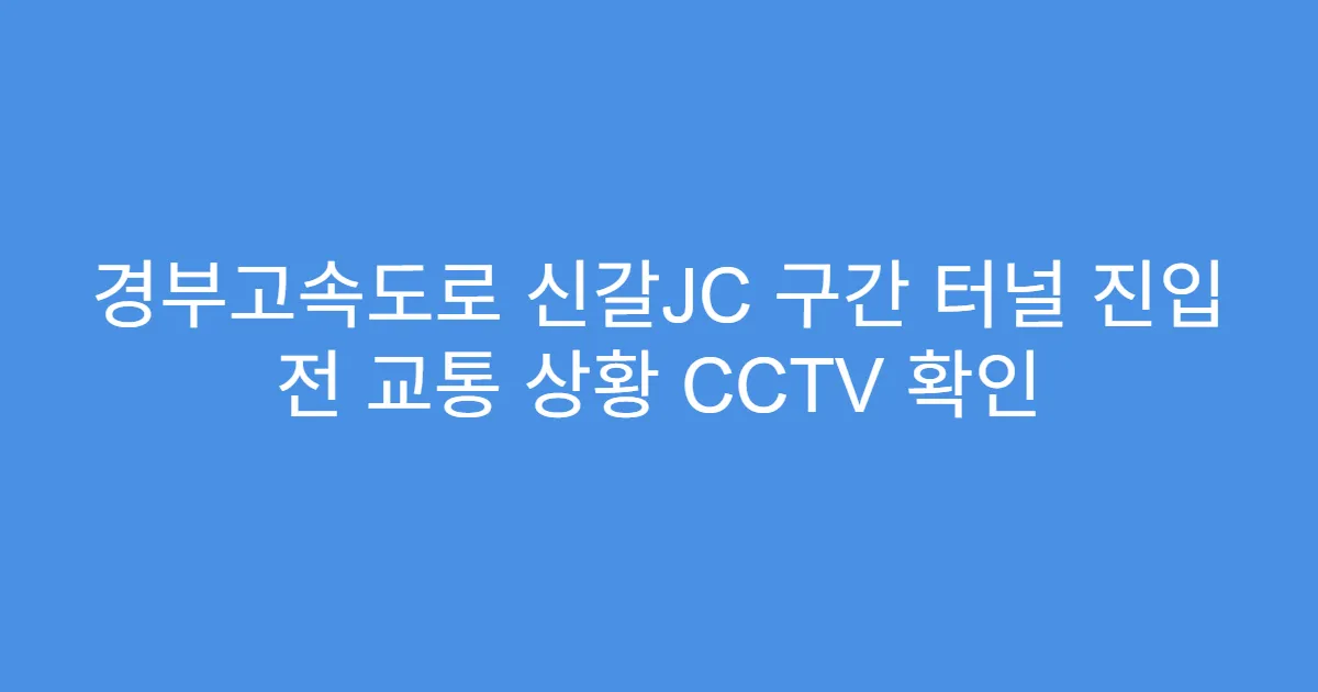 경부고속도로 신갈JC 구간 터널 진입 전 교통 상황 CCTV 확인