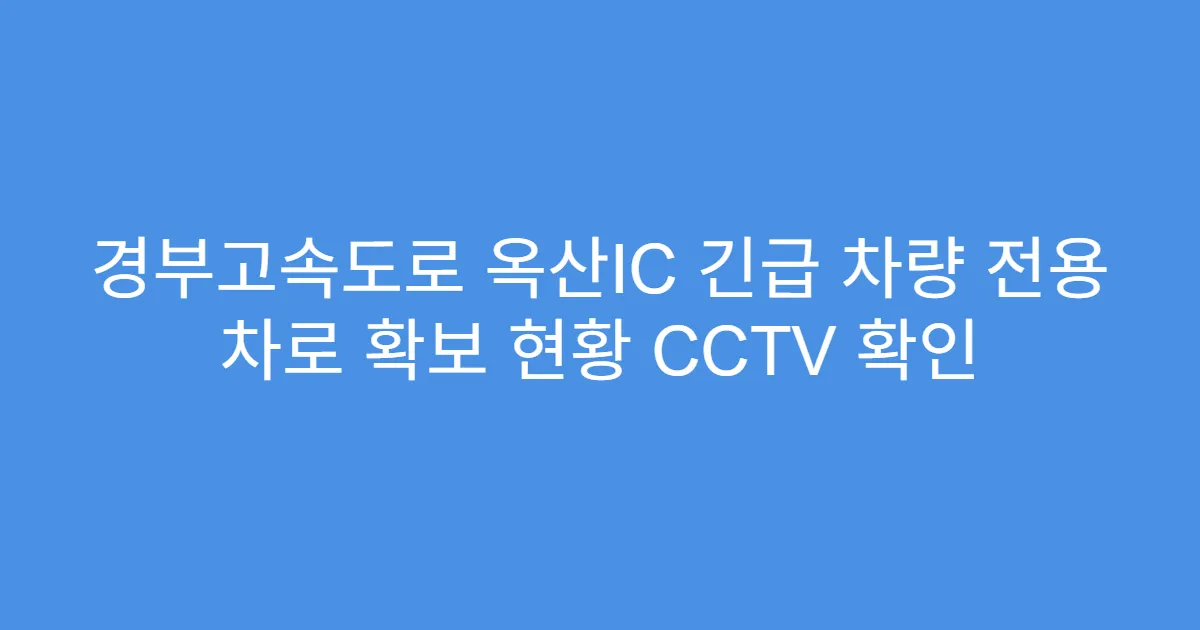 경부고속도로 옥산IC 긴급 차량 전용 차로 확보 현황 CCTV 확인