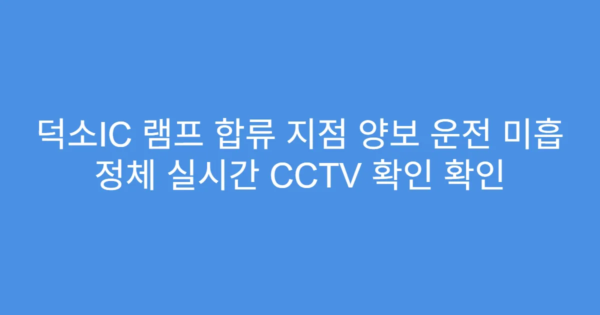 덕소IC 램프 합류 지점 양보 운전 미흡 정체 실시간 CCTV 확인 확인