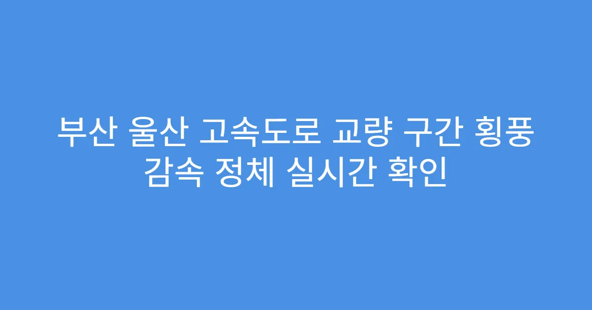부산 울산 고속도로 교량 구간 횡풍 감속 정체 실시간 확인