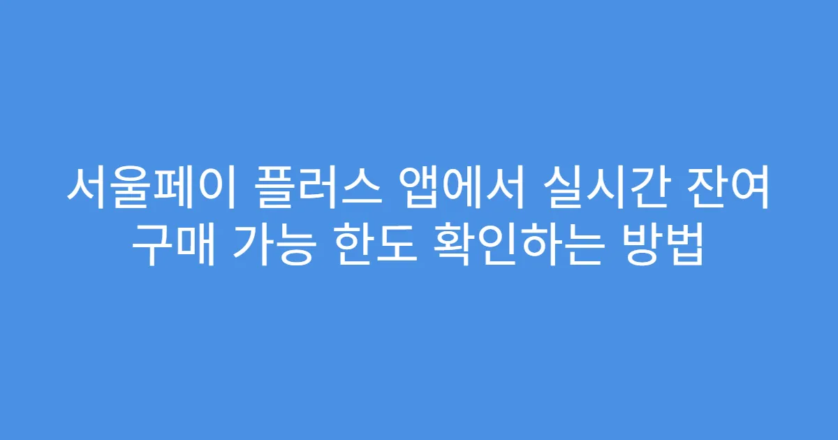 서울페이 플러스 앱에서 실시간 잔여 구매 가능 한도 확인하는 방법