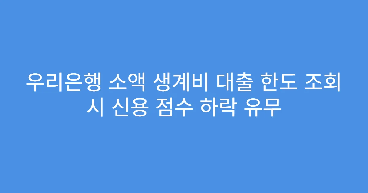 우리은행 소액 생계비 대출 한도 조회 시 신용 점수 하락 유무