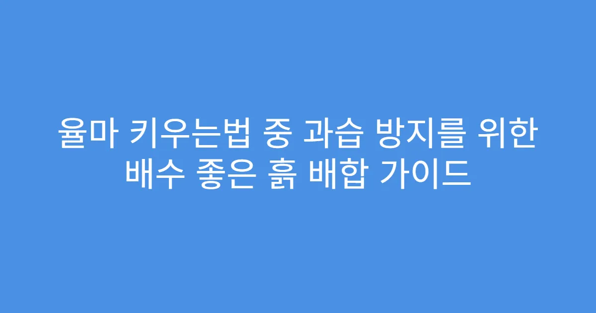 율마 키우는법 중 과습 방지를 위한 배수 좋은 흙 배합 가이드