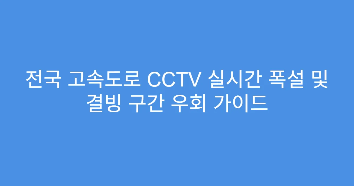 전국 고속도로 CCTV 실시간 폭설 및 결빙 구간 우회 가이드