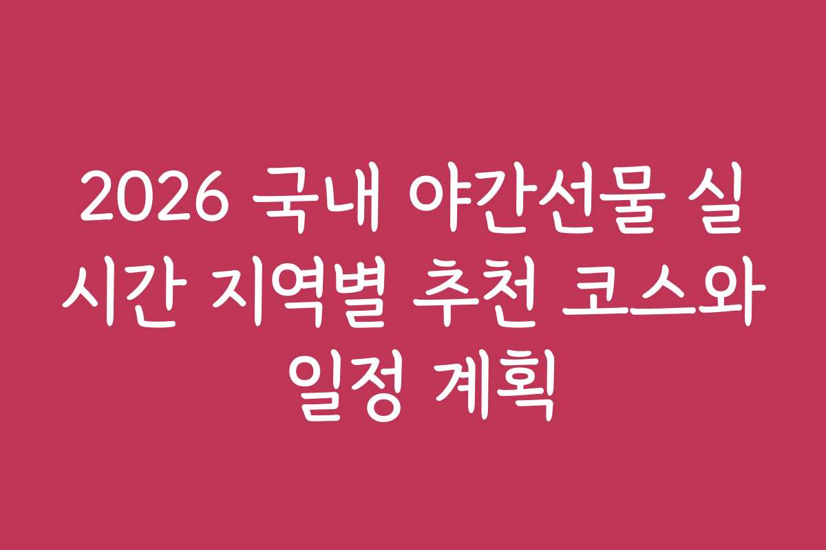 2026 국내 야간선물 실시간 지역별 추천 코스와 일정 계획