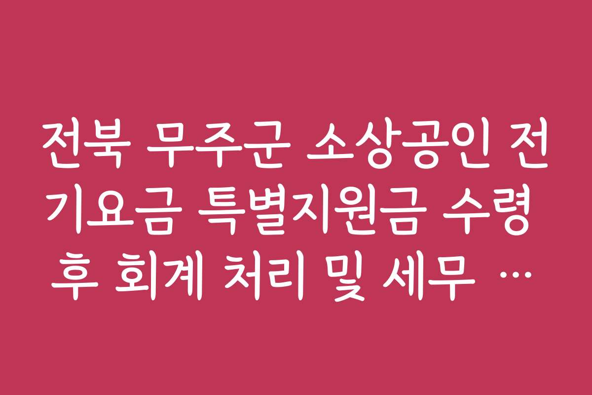 전북 무주군 소상공인 전기요금 특별지원금 수령 후 회계 처리 및 세무 신고