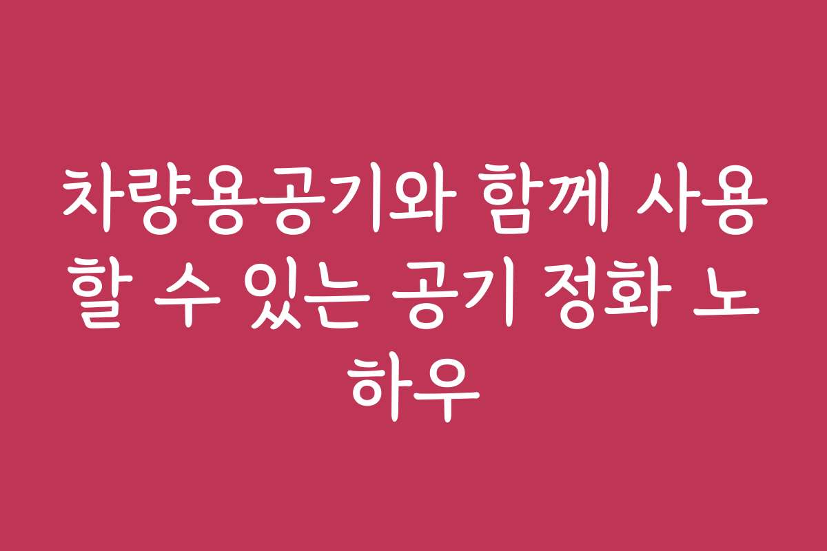 차량용공기와 함께 사용할 수 있는 공기 정화 노하우