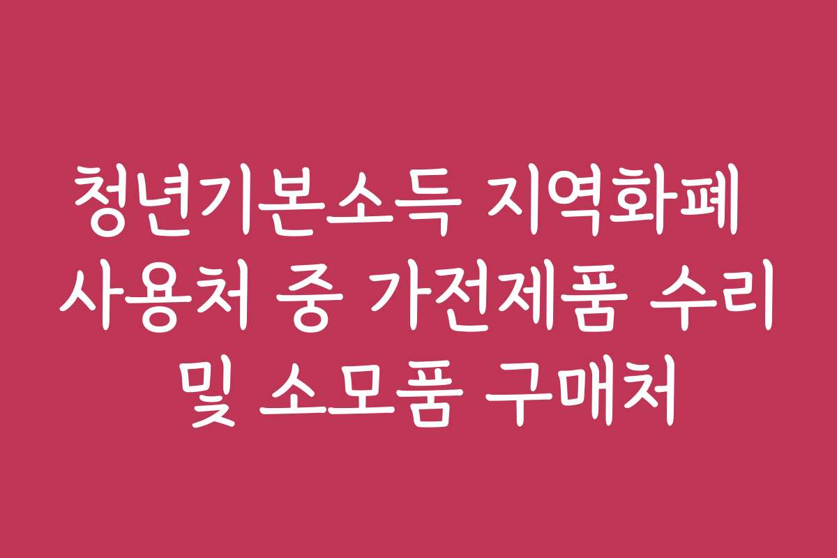 청년기본소득 지역화폐 사용처 중 가전제품 수리 및 소모품 구매처