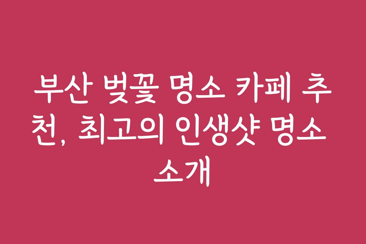 부산 벚꽃 명소 카페 추천, 최고의 인생샷 명소 소개