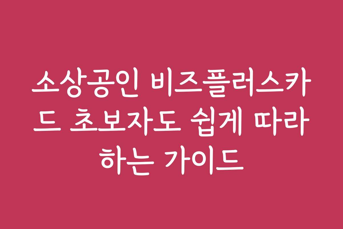 소상공인 비즈플러스카드 초보자도 쉽게 따라하는 가이드