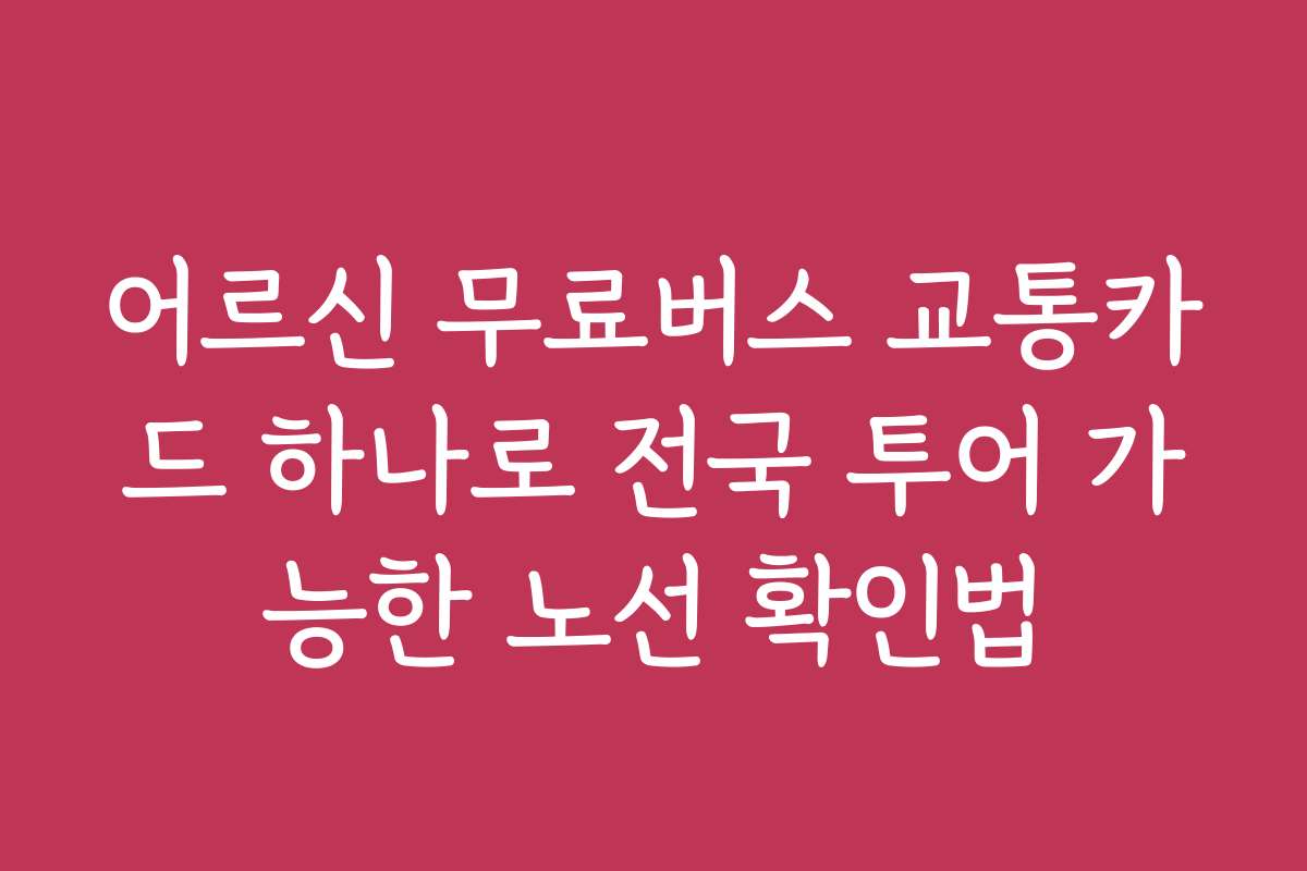어르신 무료버스 교통카드 하나로 전국 투어 가능한 노선 확인법