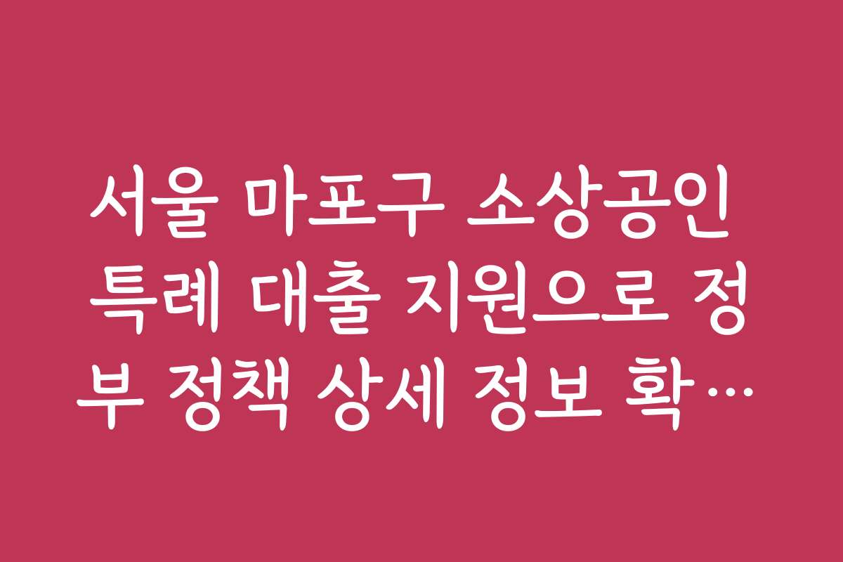 서울 마포구 소상공인 특례 대출 지원으로 정부 정책 상세 정보 확인하는 방법을 알고 싶어요