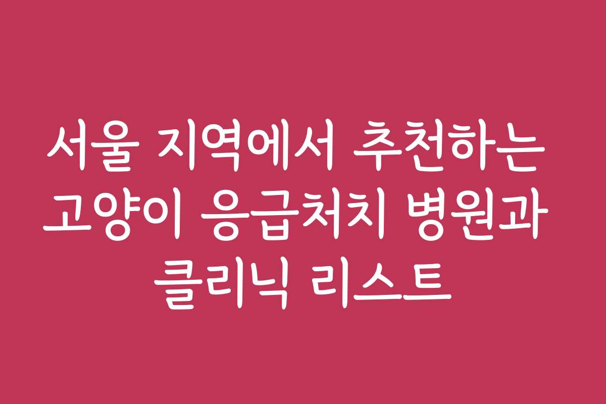 서울 지역에서 추천하는 고양이 응급처치 병원과 클리닉 리스트