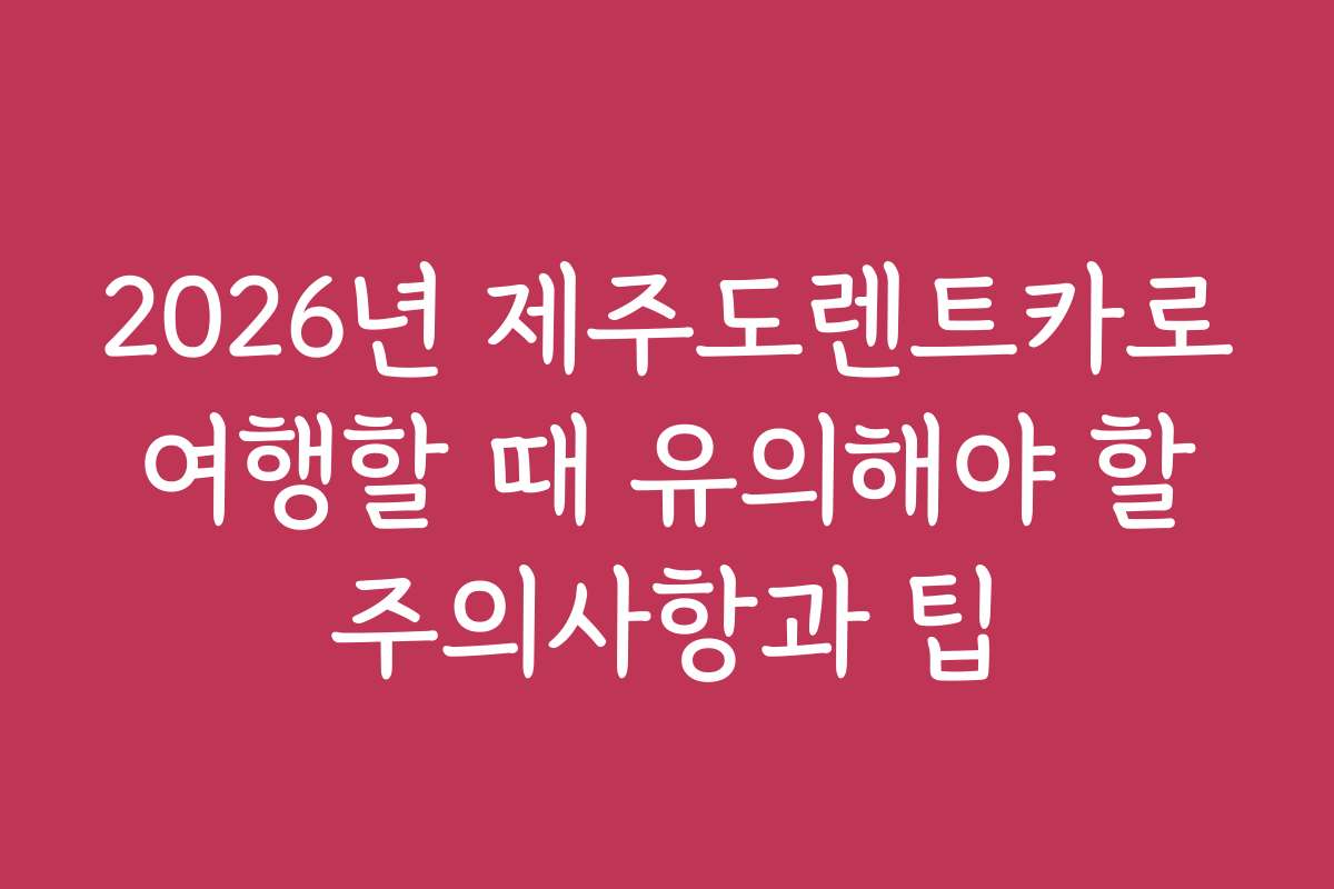 2026년 제주도렌트카로 여행할 때 유의해야 할 주의사항과 팁