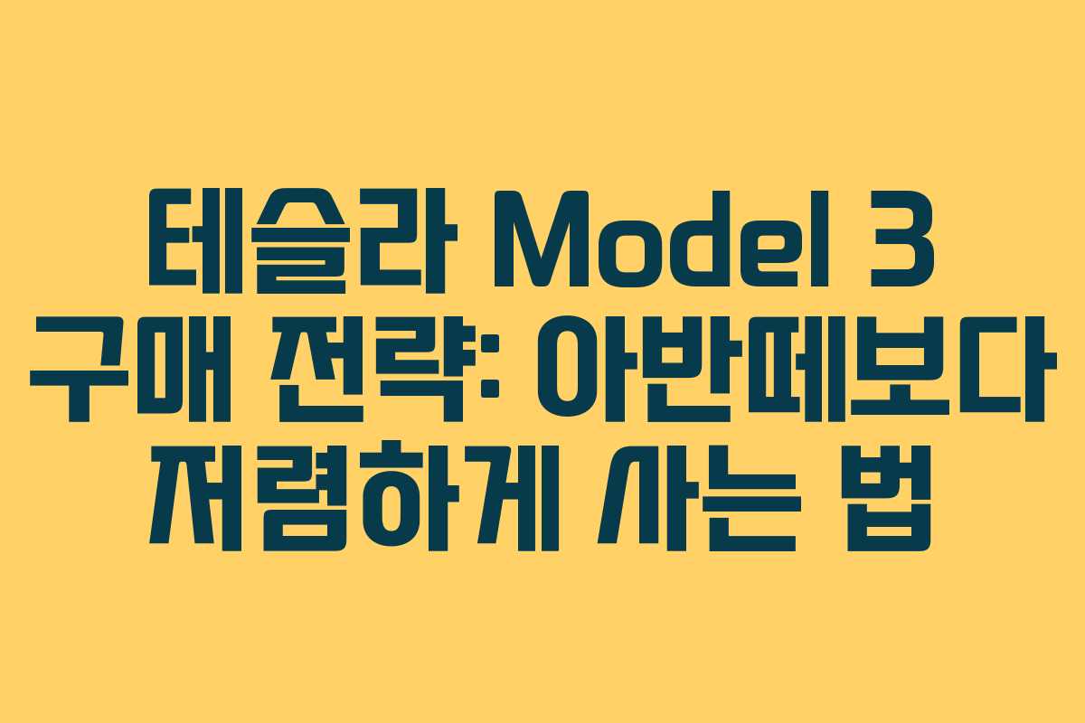 테슬라 Model 3 구매 전략: 아반떼보다 저렴하게 사는 법