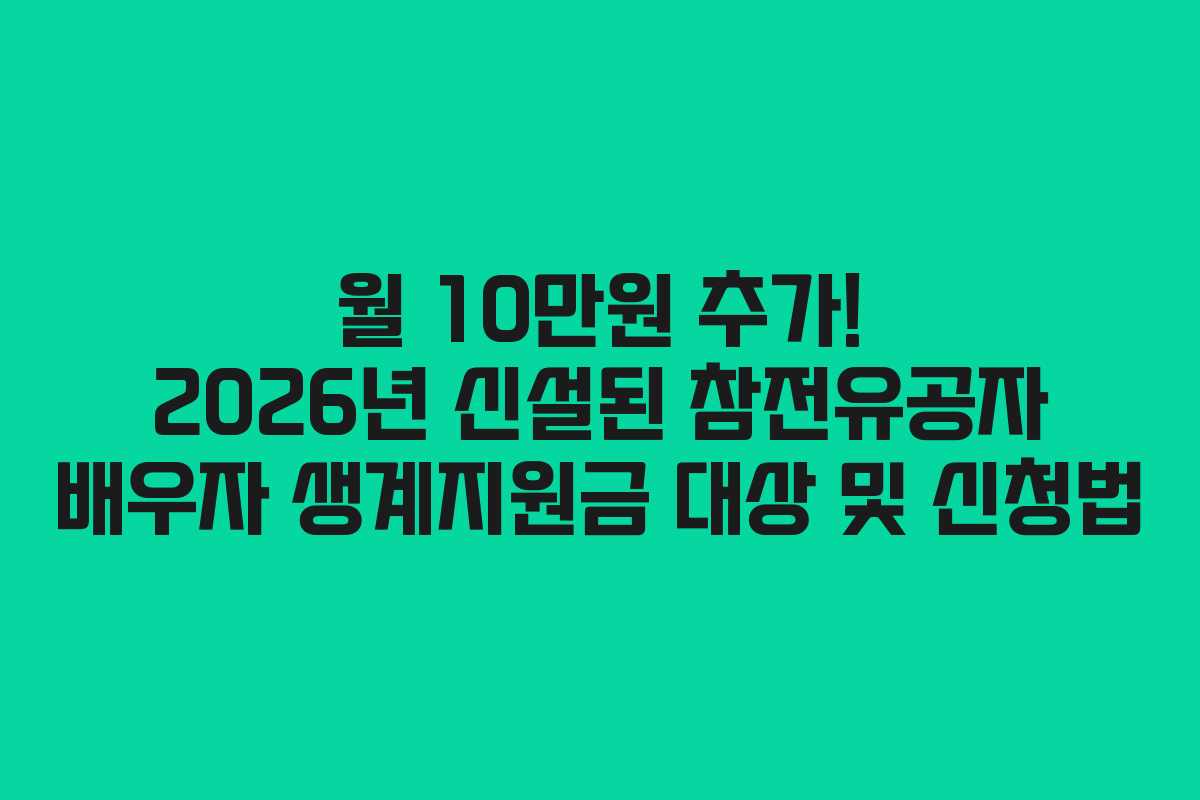 월 10만원 추가! 2026년 신설된 참전유공자 배우자 생계지원금 대상 및 신청법