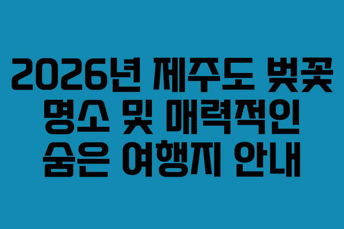 2026년 제주도 벚꽃 명소 및 매력적인 숨은 여행지 안내