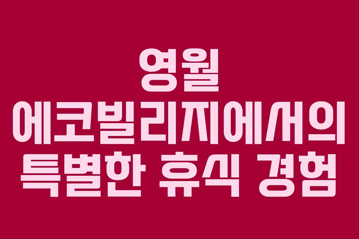 영월 에코빌리지에서의 특별한 휴식 경험