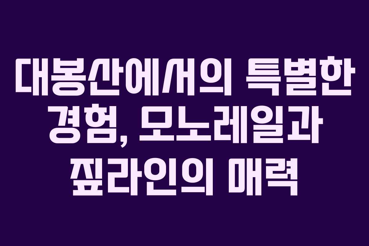 대봉산에서의 특별한 경험, 모노레일과 짚라인의 매력