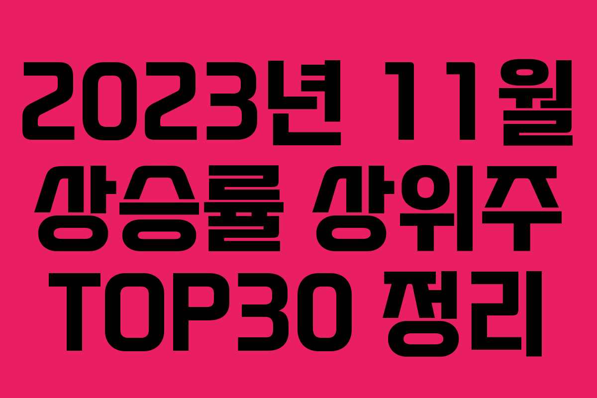 2023년 11월 상승률 상위주 TOP30 정리