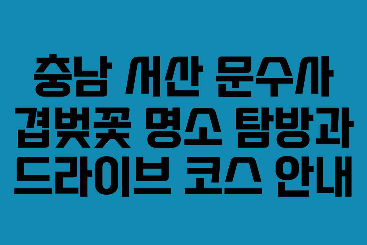 충남 서산 문수사 겹벚꽃 명소 탐방과 드라이브 코스 안내