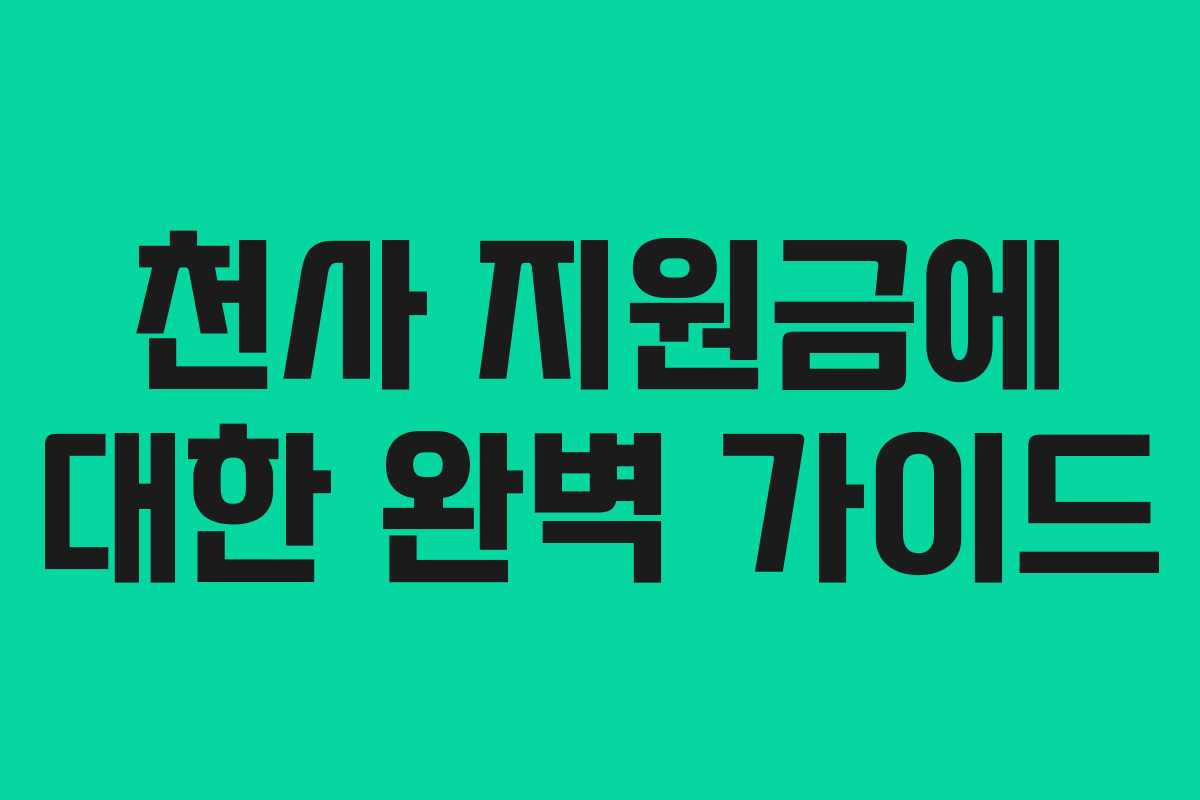 천사 지원금에 대한 완벽 가이드