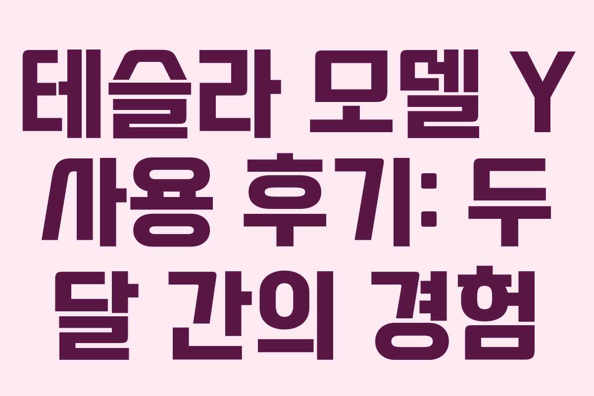 테슬라 모델 Y 사용 후기: 두 달 간의 경험