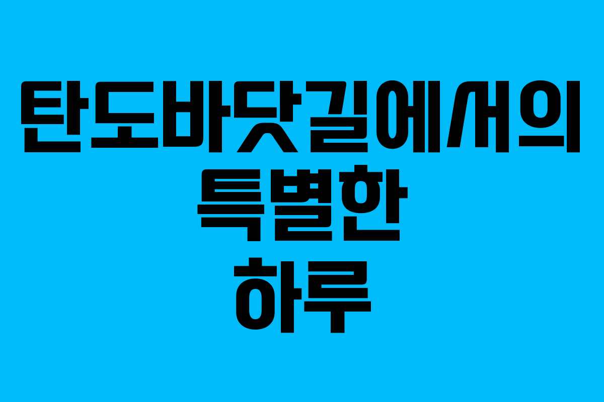 탄도바닷길에서의 특별한 하루