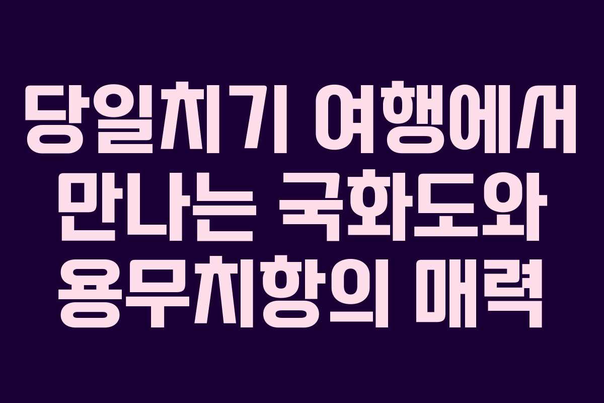 당일치기 여행에서 만나는 국화도와 용무치항의 매력