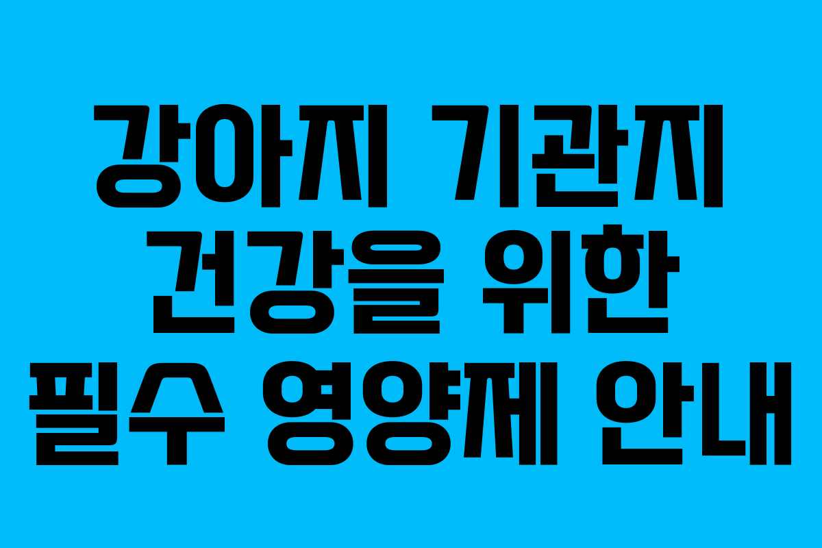 강아지 기관지 건강을 위한 필수 영양제 안내
