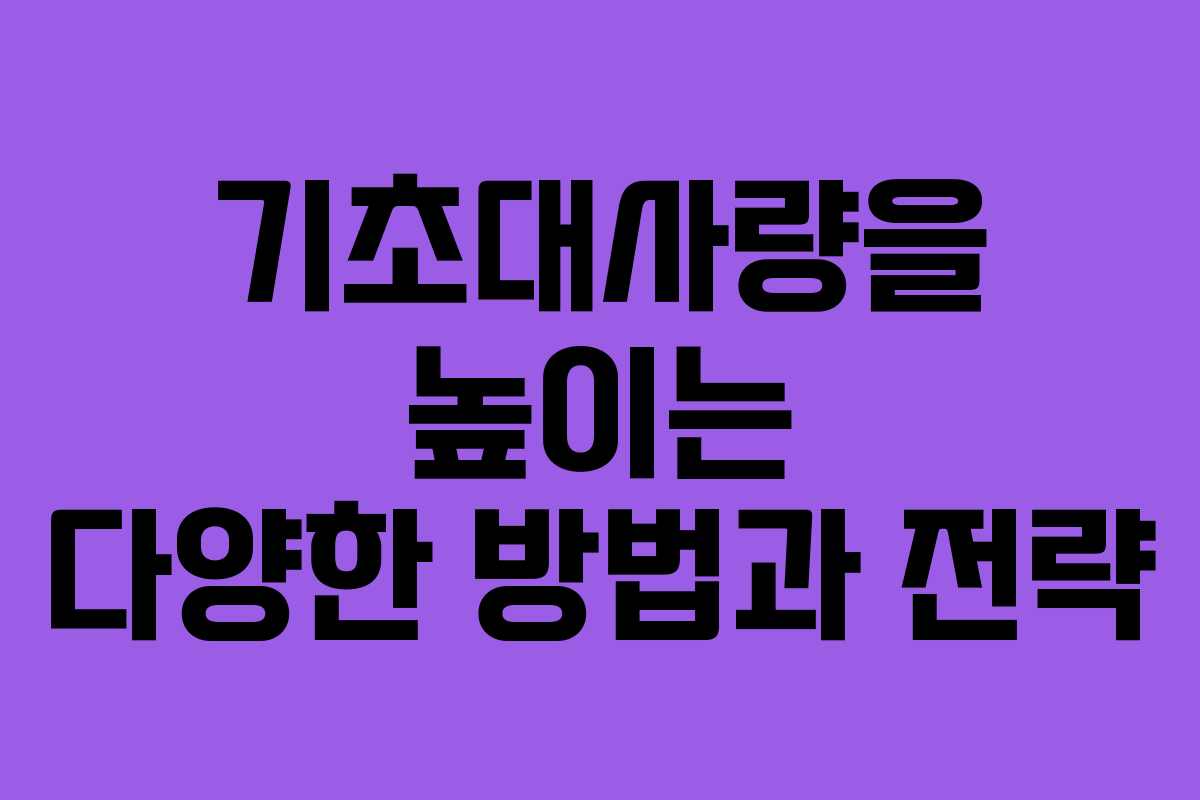 기초대사량을 높이는 다양한 방법과 전략