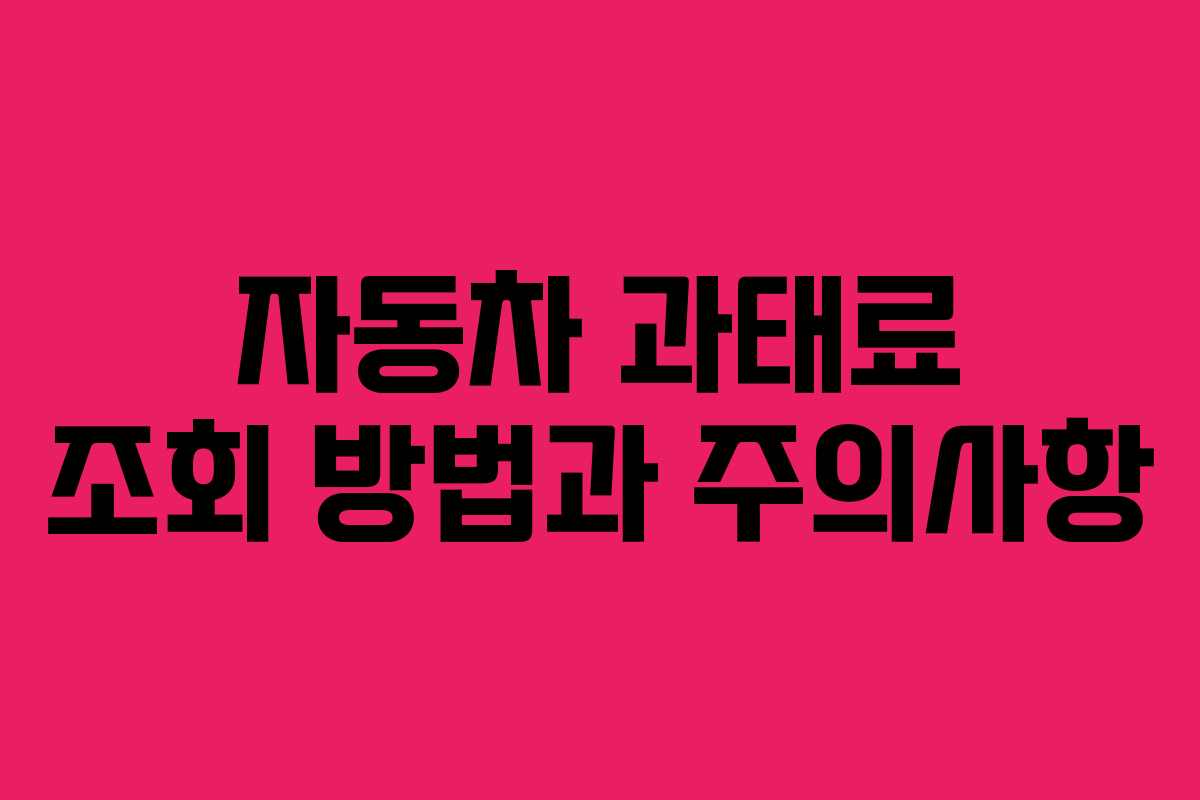 자동차 과태료 조회 방법과 주의사항